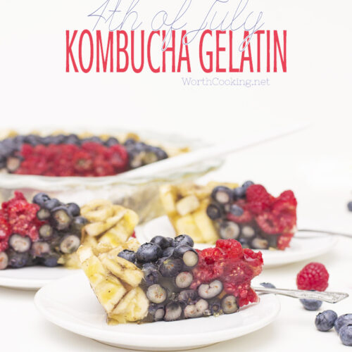 kombucha gelatin